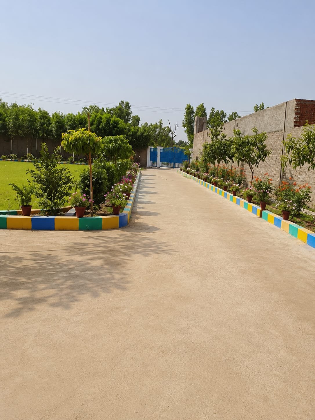 Driveway